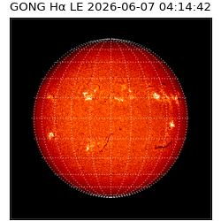 gong - 2026-06-07T04:14:42