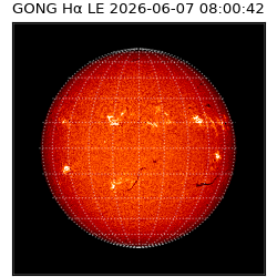gong - 2026-06-07T08:00:42