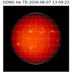 gong - 2026-06-07T13:09:22