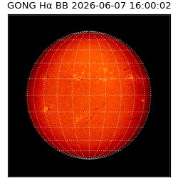 gong - 2026-06-07T16:00:02