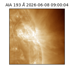 saia - 2026-06-08T09:00:04.843000