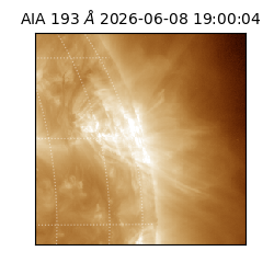 saia - 2026-06-08T19:00:04.842000