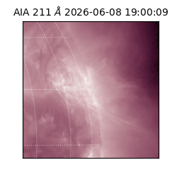 saia - 2026-06-08T19:00:09.624000