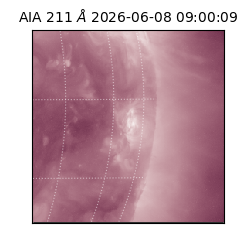 saia - 2026-06-08T09:00:09.624000