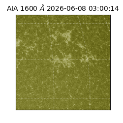 saia - 2026-06-08T03:00:14.124000
