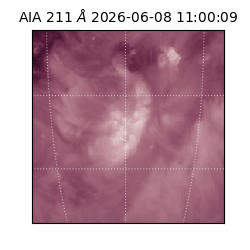saia - 2026-06-08T11:00:09.624000