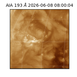 saia - 2026-06-08T08:00:04.842000