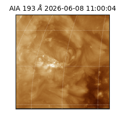 saia - 2026-06-08T11:00:04.842000