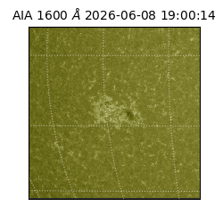 saia - 2026-06-08T19:00:14.130000
