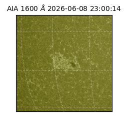 saia - 2026-06-08T23:00:14.123000
