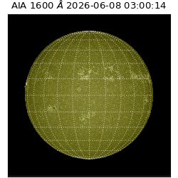 saia - 2026-06-08T03:00:14.124000