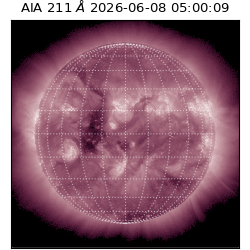 saia - 2026-06-08T05:00:09.629000