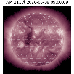 saia - 2026-06-08T09:00:09.624000