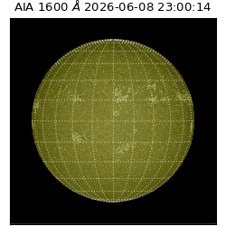 saia - 2026-06-08T23:00:14.123000