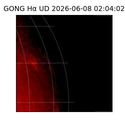 gong - 2026-06-08T02:04:02
