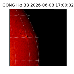 gong - 2026-06-08T17:00:02