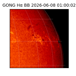 gong - 2026-06-08T01:00:02