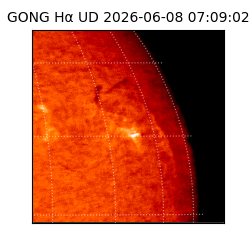 gong - 2026-06-08T07:09:02