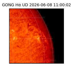gong - 2026-06-08T11:00:02