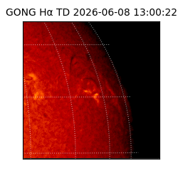 gong - 2026-06-08T13:00:22
