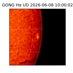 gong - 2026-06-08T10:00:02