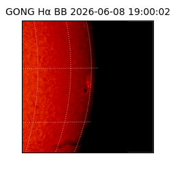 gong - 2026-06-08T19:00:02
