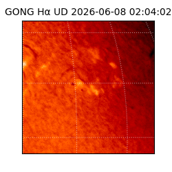 gong - 2026-06-08T02:04:02