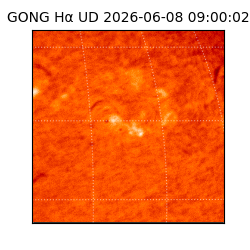 gong - 2026-06-08T09:00:02