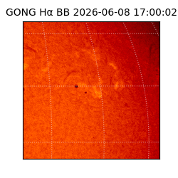gong - 2026-06-08T17:00:02