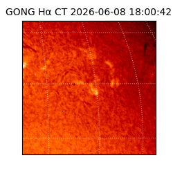 gong - 2026-06-08T18:00:42
