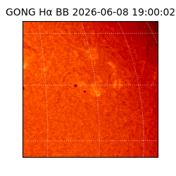 gong - 2026-06-08T19:00:02