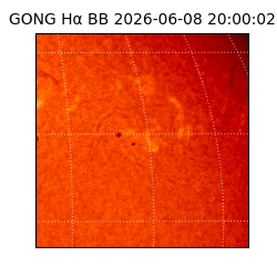 gong - 2026-06-08T20:00:02