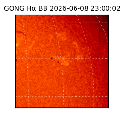 gong - 2026-06-08T23:00:02