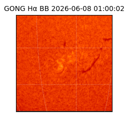 gong - 2026-06-08T01:00:02