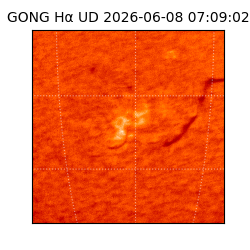 gong - 2026-06-08T07:09:02