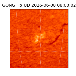 gong - 2026-06-08T08:00:02