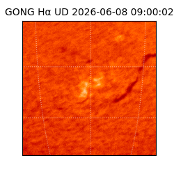 gong - 2026-06-08T09:00:02