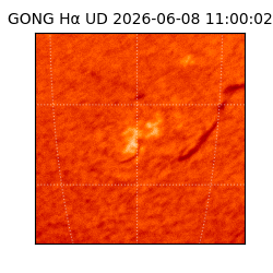 gong - 2026-06-08T11:00:02