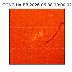 gong - 2026-06-08T19:00:02