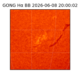 gong - 2026-06-08T20:00:02