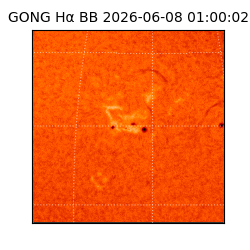 gong - 2026-06-08T01:00:02