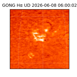 gong - 2026-06-08T06:00:02