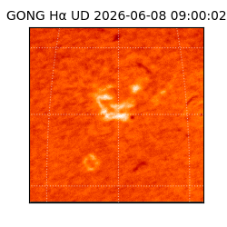 gong - 2026-06-08T09:00:02