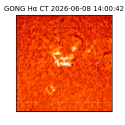 gong - 2026-06-08T14:00:42