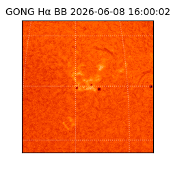 gong - 2026-06-08T16:00:02