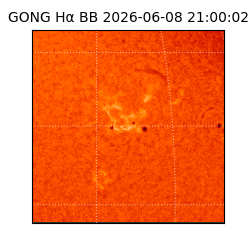gong - 2026-06-08T21:00:02