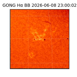 gong - 2026-06-08T23:00:02