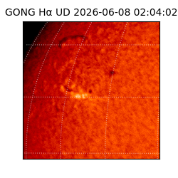 gong - 2026-06-08T02:04:02