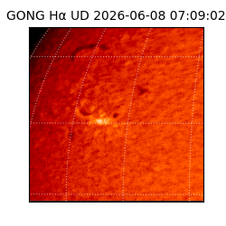 gong - 2026-06-08T07:09:02