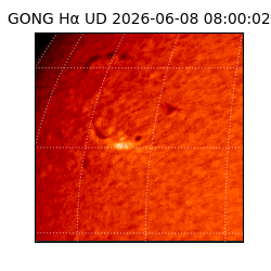 gong - 2026-06-08T08:00:02